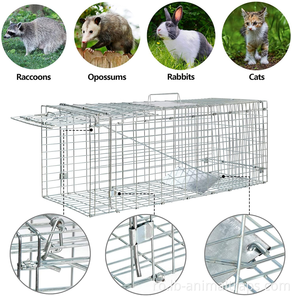 Steel Humane Release Rodent Cage for cat